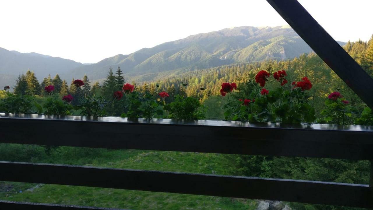 Nature House פרדיאל מראה חיצוני תמונה