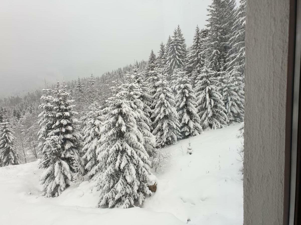 Nature House פרדיאל מראה חיצוני תמונה